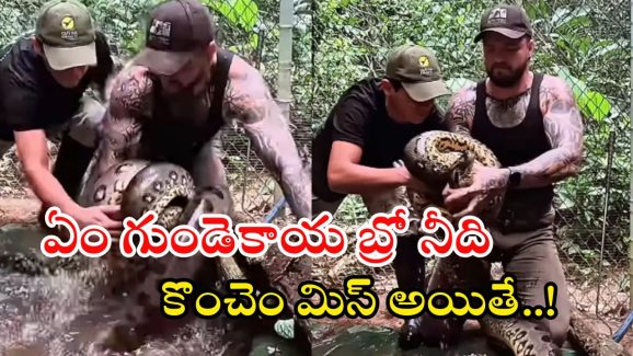 Anaconda Video: ఏం ధైర్యం బ్రో నీది.. అంత పెద్ద అనకొండను వట్టి చేతులతో పట్టేశావే..