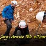 Ancient History: పసిబిడ్డలనే చంపి తినే మనుషులు.. అవును నిజమే.. పరిశోధనలో సంచలన విషయాలు