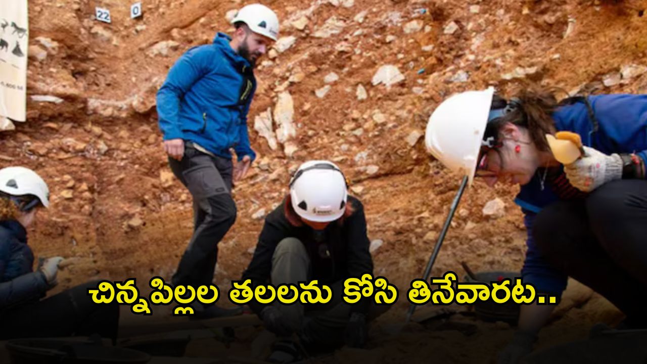 Ancient History: పసిబిడ్డలనే చంపి తినే మనుషులు.. అవును నిజమే.. పరిశోధనలో సంచలన విషయాలు