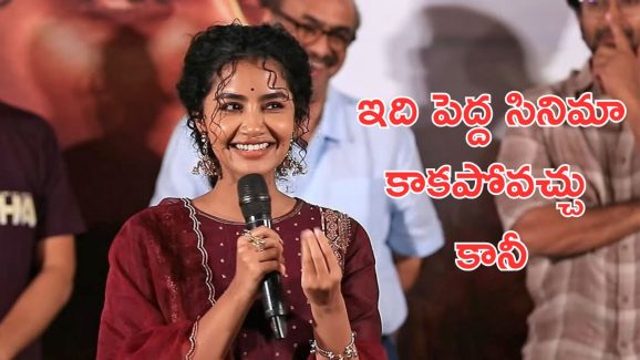 Anupama Parameswaran : లేడీ ఓరియంటెడ్ సినిమా అంటే వెనక్కి వెళ్ళిపోతున్నారు, అనుపమ ఎమోషనల్ వర్డ్స్ 