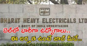 Dandruff : శాశ్వతంగా చుండ్రుకు చెక్ పెట్టే టిప్స్ ఇవే !