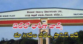 Godavari flood season: గోదావరి వద్ద కలకలం.. ఒక్క చేపకే వేలల్లో ధర!