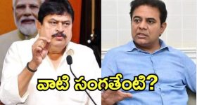 Breast size: నిల్వ పచ్చళ్ళు,  ఊరగాయలు ఎక్కువగా తింటే మహిళల్లో బ్రెస్ట్ సైజు పెరిగేస్తుందా?
