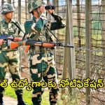 BSF Recruitment: బీఎస్ఎఫ్‌లో కానిస్టేబుల్ ఉద్యోగాలు, ఈ క్వాలిఫికేషన్ ఉంటే చాలు..