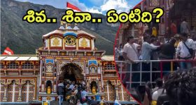 Coconut Biscuit: ఇలా ఇంట్లోనే కొబ్బరి బిస్కెట్లు చేసేయండి, రెసిపీ చాలా సులువు
