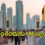Golden Visa: భారతీయులకు గోల్డెన్ వీసా ఆఫర్.. కేవలం 23 లక్షలతో చెల్లిస్తే చాలు