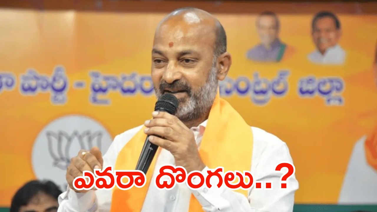 Bandi Sanjay: పార్టీలో నాకు వ్యతిరేకంగా పనిచేస్తున్నారు.. బండి సంజయ్ సంచలన వ్యాఖ్యలు