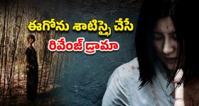 OTT Movie : అమ్మాయితో ఫ్యామిలీ అంతా కలిసి ఆ పని... ఆమె రివేంజ్ రా అండ్ బ్రూటల్... బ్లడీ బ్లడ్ బాత్ భయ్యా