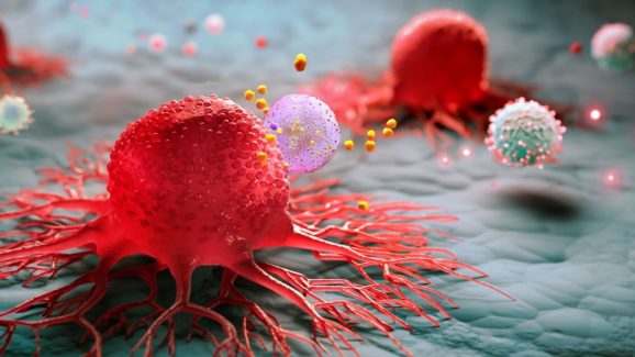 Cancer: ఈ 5 కారణాల వల్లే.. క్యాన్సర్ మరణాలు పెరుగుతున్నాయట !