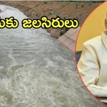 Handreeniva Phase-1: హంద్రీనీవా ఫేజ్-1 పూర్తి.. సీమలో పంటలే పంటలు, సీఎం చంద్రబాబు చేతుల మీదుగా