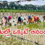 Central Govt Scheme: రైతులకు గుడ్ న్యూస్.. ‘ధన్ ధాన్య కృషి యోజన’ స్కీమ్, ప్రయోజనాలు అన్నీఇన్నీకావు