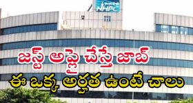 NHPC Recruitment: గుడ్ న్యూస్.. ఎలాంటి పరీక్ష లేకుండా ఉద్యోగం.. జస్ట్ ఈ అర్హత ఉంటే చాలు