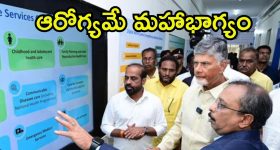 CM Chandrababu: ఏపీలో ఫస్ట్ ‘డిజిటల్ నెర్వ్ సెంటర్’.. త్వరలో రాష్ట్రమంతా, ఇదొక గేమ్‌ ఛేంజర్‌