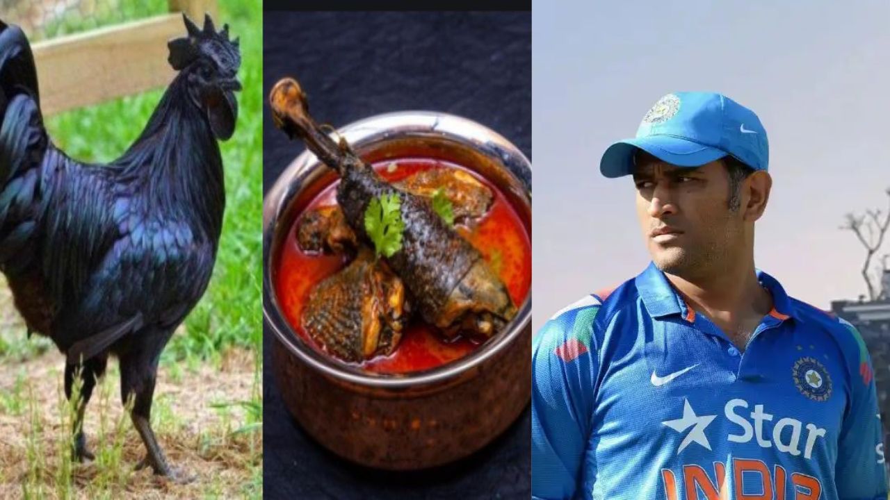 Chicken RS 1000 Per Kg: ధోని బిజినెస్ అదుర్స్.. కేజీ చికెన్ 1000 రూపాయలు.. దీని ప్రత్యేకత ఇదే