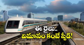 AP Tourism Jungle Safari: 160 రకాల సీతాకోకచిలుకలు.. లక్షల్లో ఒకే చోట.. ఏపీలో ఇక్కడికి వెళ్లండి!