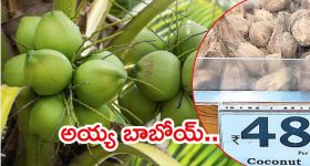 Bad eye remedies: మీకు దిష్టి తగిలిందా? దాన్నుంచి బయటపడడానికి ఈ ఒక్క వస్తువును మీ ఇంట్లో పెట్టుకోండి చాలు