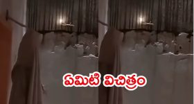 Viral Video: బల్లి తోక నుంచి నిప్పులు.. అదెలా సాధ్యం, వైరల్ వీడియో