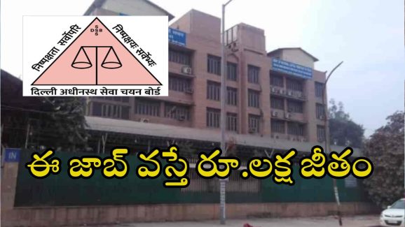 DSSSB Recruitment: పది, ఇంటర్ అర్హతతో 2119 ఉద్యోగాలు, అప్లై చేస్తే నౌకరి, ఇంకెందుకు ఆలస్యం
