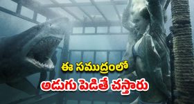 Top 5 Best Crime Thrillers : ఓటీటీలో స్ట్రీమింగ్ అవుతున్న లేటెస్ట్ బెస్ట్ క్రైమ్ సిరీస్లు... పాతాళ లోక్, మీర్జాపూర్ లాంటి కిక్ పక్కా