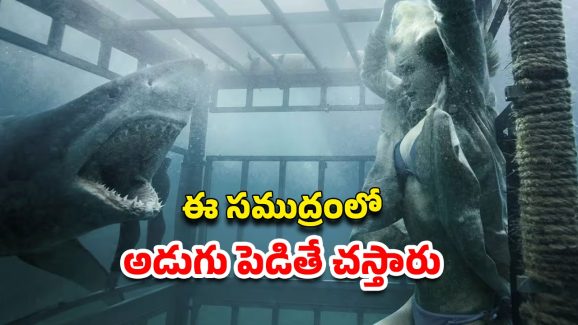 OTT Movie : స్వర్గం చూపిస్తానని చెప్పి అమ్మాయిలతో ఇదేం పని ? యానిమల్స్ కన్నా డేంజర్ ఈ సైకో… ఇంటెన్స్ క్రైమ్ థ్రిల్లర్