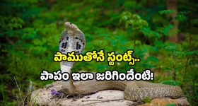 Eesha Rebba : స్టైలిష్ లుక్ లో ఈషా.. కోటులో మేడమ్ అదిరిపోయింది..