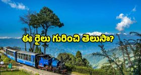 OTT Movie : మెంటల్ ఎబిలిటీ సరిగ్గా లేని పోలీస్... ఒక్కో కేసులో ఊహించని ట్విస్టులు... అదిరిపోయే సర్ప్రైజులు