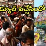 Vijayawada: ఇంద్రకీలాద్రిపై దసరా ఉత్సవాలు 2025.. ఈసారి 11 రోజులు, అదెలా?