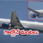 Delta Airlines: డెల్టా ఎయిర్‌లైన్స్ బోయింగ్​ విమానంలో మంటలు.. ఎమర్జెన్సీ ల్యాండింగ్, ఏం జరిగింది?