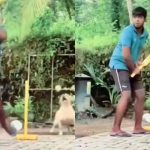 Watch Video : కుక్కతో వికెట్ కీపింగ్.. మహేంద్ర సింగ్ ధోనీని కూడా మించిపోయిందిగా.. వీడియో చూస్తే గూస్ బంప్స్ రావాల్సిందే