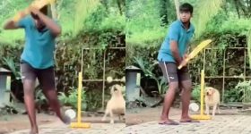 Watch Video : కుక్కతో వికెట్ కీపింగ్.. మహేంద్ర సింగ్ ధోనీని కూడా మించిపోయిందిగా.. వీడియో చూస్తే గూస్ బంప్స్ రావాల్సిందే