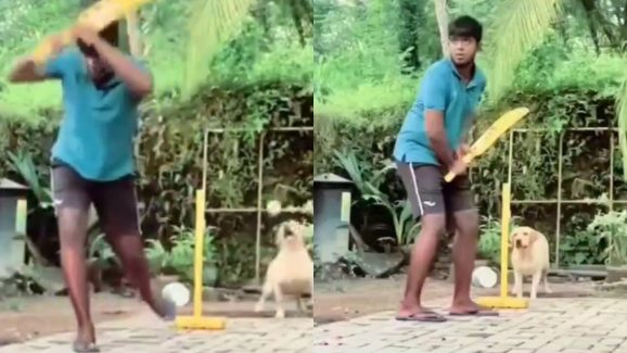 Watch Video : కుక్కతో వికెట్ కీపింగ్.. మహేంద్ర సింగ్ ధోనీని కూడా మించిపోయిందిగా.. వీడియో చూస్తే గూస్ బంప్స్ రావాల్సిందే