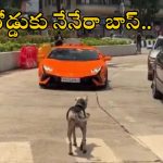 Dog Viral Video: లంబోర్గిని కారు డ్రైవర్‌కు చుచ్చు పోయించిన వీధి కుక్క.. వీడియో చూస్తే నవ్వు ఆపుకోలేరు..