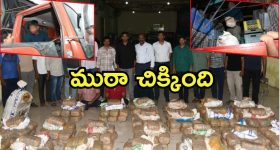 Marriage: ప్రేమ పెళ్లి అయినా, పెద్దలు కుదిరిచినదైనా.. వివాహానికి ముందు ఈ 5 వైద్య పరీక్షలు కచ్చితంగా చేయించండి