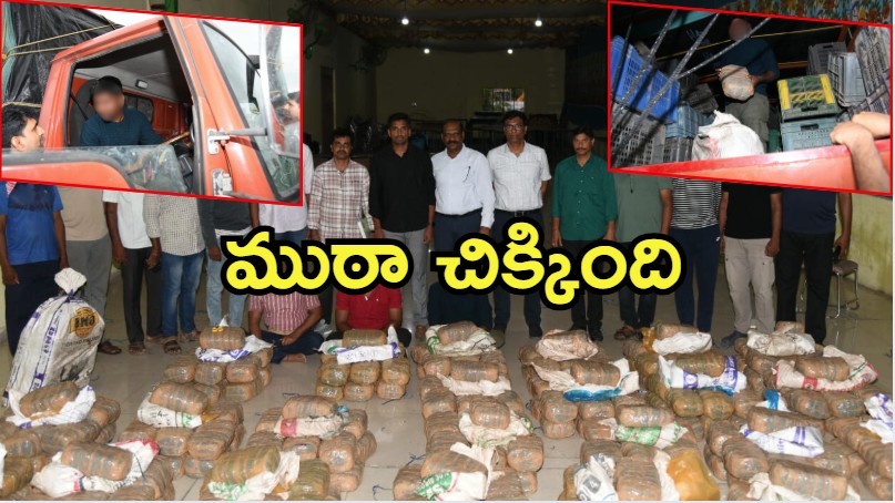 Rangareddy: తెలంగాణలో భారీ ఎత్తున గంజాయి.. ఈగల్ టీమ్ దాడి, 935 కిలోల సీజ్, ఎక్కడ?