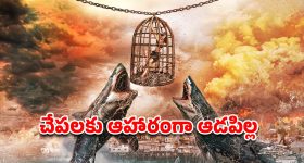 OTT Movie : అమ్మాయిని తాళ్లతో కట్టేసి సముద్రంలోకి తోసే సైకోలు... ఆమె ఇచ్చే ట్విస్టుకు ఒక్కొక్కడి ఫ్యూజులు అవుట్