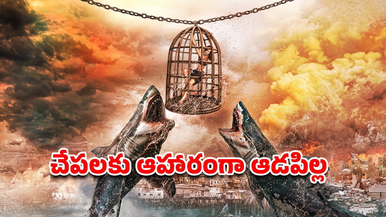 OTT Movie : అమ్మాయిని తాళ్లతో కట్టేసి సముద్రంలోకి తోసే సైకోలు… ఆమె ఇచ్చే ట్విస్టుకు ఒక్కొక్కడి ఫ్యూజులు అవుట్
