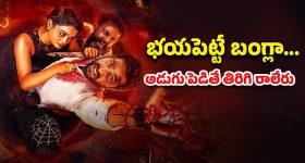Vijayawada Metro: విజయవాడకు మెట్రో స్పెషల్ గిఫ్ట్.. ఎన్ని స్టేషన్ల నిర్మాణమో తెలుసా!