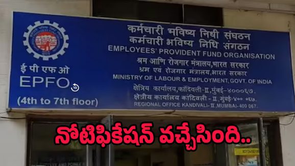 EPFO Notification: డిగ్రీ అర్హతతో ఈపీఎఫ్‌వోలో ఉద్యోగాలు.. రూ.25 ఉంటే అప్లై చేసుకోవచ్చు, వారికైతే ఫీజు కూడా లేదు