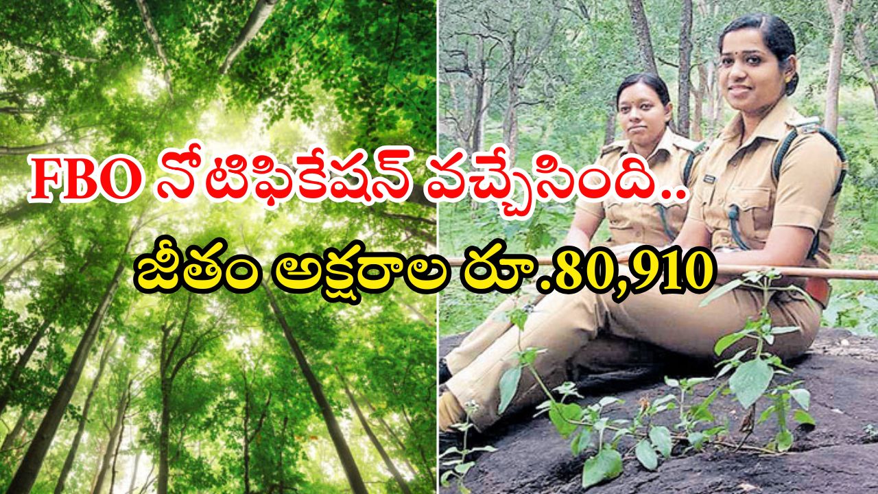 FBO Notification: ఫారెస్ట్ బీట్ ఆఫీసర్ నోటిఫికేషన్ విడుదల.. ఈ క్వాలిఫికేషన్ ఉంటే చాలు