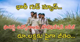 FSO Notification: నిరుద్యోగలకు భారీ గుడ్‌న్యూస్.. అటవీ శాఖలో ఉద్యోగాలు.. లక్షకు పైగా జీతం