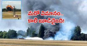 Elephant video: బురద నీటిలో చిన్న ఏనుగు.. సోషల్ మీడియాలో అద్భుతమైన వీడియో..