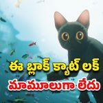OTT Movie : 30 కోట్ల బడ్జెట్, 300 కోట్ల కలెక్షన్స్… ఆస్కార్ ను అందుకున్న ఈ మూవీ ఏ ఓటీటీలో ఉందో తెలుసా ?