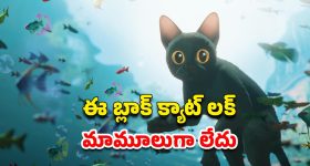 OTT Movie : 30 కోట్ల బడ్జెట్, 300 కోట్ల కలెక్షన్స్... ఆస్కార్ ను అందుకున్న ఈ మూవీ ఏ ఓటీటీలో ఉందో తెలుసా ?