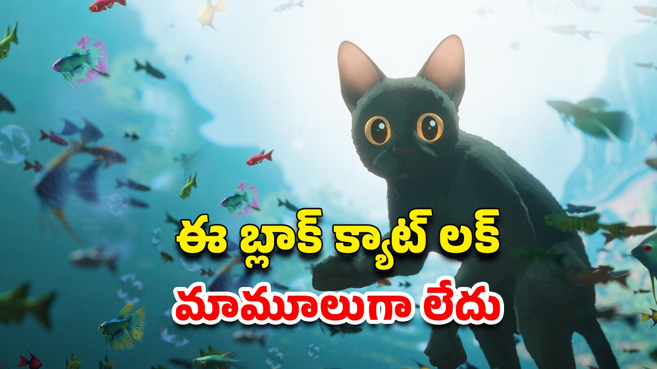 OTT Movie : 30 కోట్ల బడ్జెట్, 300 కోట్ల కలెక్షన్స్… ఆస్కార్ ను అందుకున్న ఈ మూవీ ఏ ఓటీటీలో ఉందో తెలుసా ?