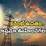 Free Electricity Scheme: ఇక కరెంట్ ఫ్రీ..! ఊహించని ప్రకటన చేసిన సీఎం.. అమలు ఎప్పుడంటే?