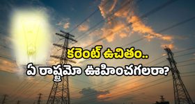 Free Electricity Scheme: ఇక కరెంట్ ఫ్రీ..! ఊహించని ప్రకటన చేసిన సీఎం.. అమలు ఎప్పుడంటే?