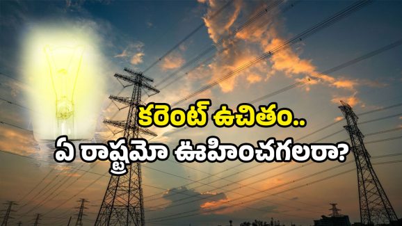 Free Electricity Scheme: ఇక కరెంట్ ఫ్రీ..! ఊహించని ప్రకటన చేసిన సీఎం.. అమలు ఎప్పుడంటే?