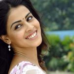Genelia: ఆ సీక్వెల్ చేయాలని ఉంది.. దర్శక నిర్మాతలదే ఆలస్యం?