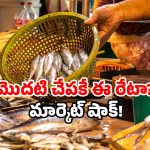 Godavari flood season: గోదావరి వద్ద కలకలం.. ఒక్క చేపకే వేలల్లో ధర!