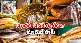 Godavari flood season: గోదావరి వద్ద కలకలం.. ఒక్క చేపకే వేలల్లో ధర!